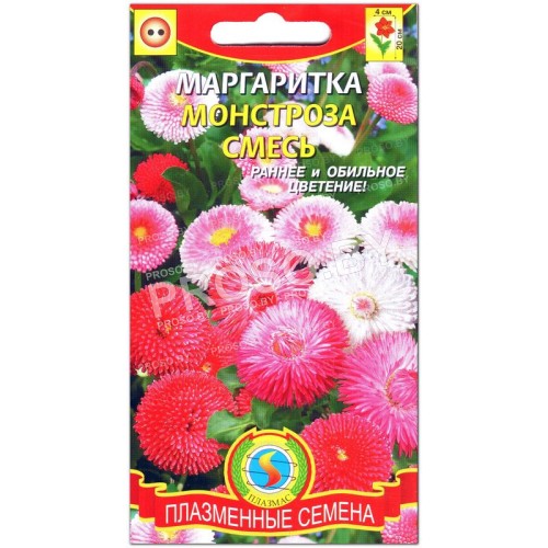Маргаритка Монстроза, смесь-1