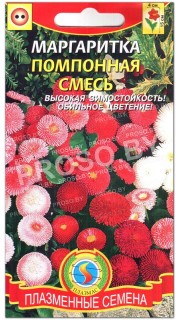 Маргаритка Помпонная смесь