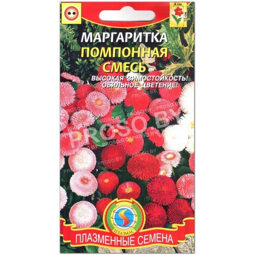 Маргаритка Помпонная смесь