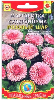 Маргаритка Розовый шар