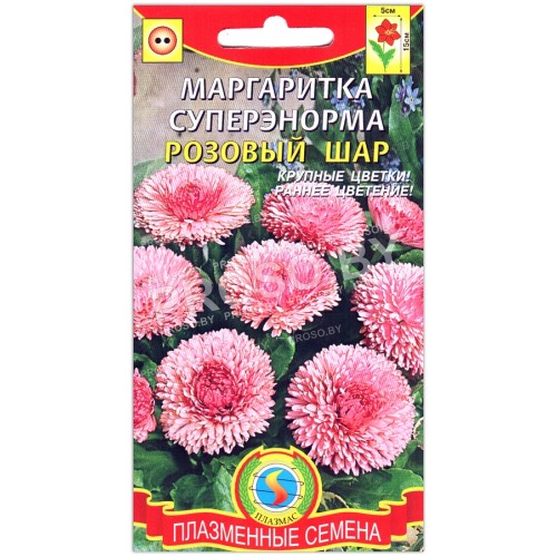 Маргаритка Розовый шар