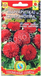 Маргаритка суперэнорма Красный шар