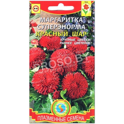 Маргаритка суперэнорма Красный шар