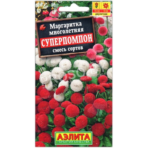 Маргаритка Суперпомпон, смесь