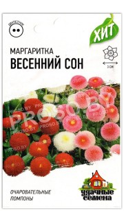 Маргаритка Весенний сон