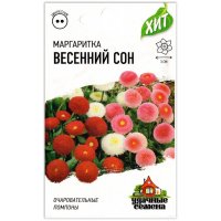 Маргаритка Весенний сон