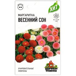 Маргаритка Весенний сон