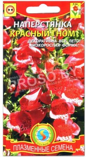 Наперстянка Красный гном