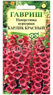 Наперстянка пурпурная Карлик красный