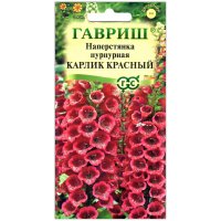 Наперстянка пурпурная Карлик красный