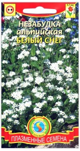 Незабудка альпийская Белый снег