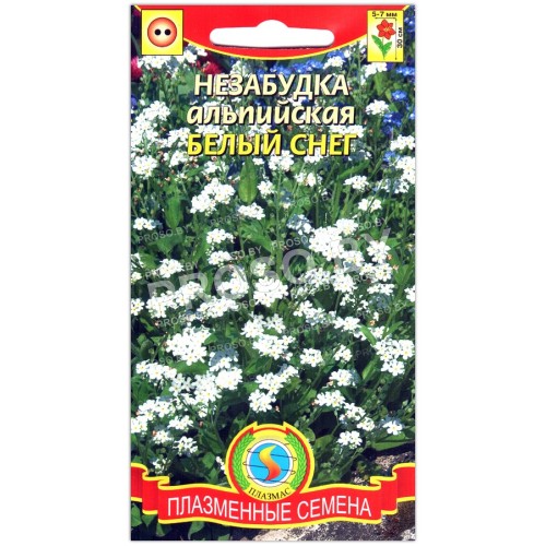 Незабудка альпийская Белый снег