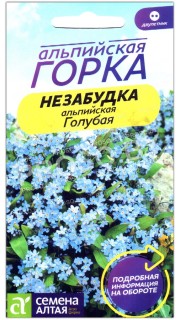 Незабудка альпийская Голубая