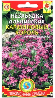 Незабудка альпийская Карминовый король
