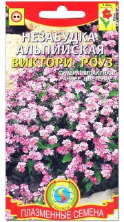 Незабудка альпийская Виктори роуз