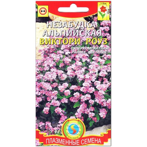 Незабудка альпийская Виктори роуз