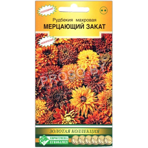 Рудбекия махровая Мерцающий закат