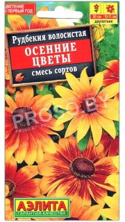 Рудбекия волосистая Осенние цветы, смесь