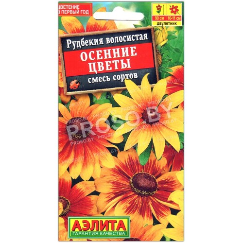Рудбекия волосистая Осенние цветы, смесь