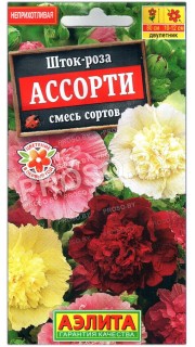 Шток-роза Ассорти, смесь