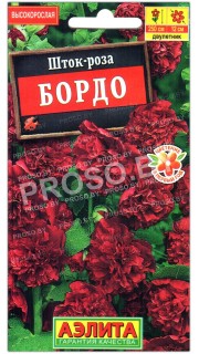 Шток-роза Бордо
