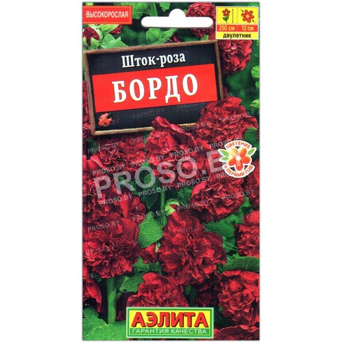 Шток-роза Бордо