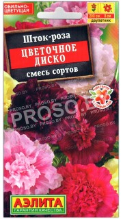 Шток-роза Цветочное диско, смесь