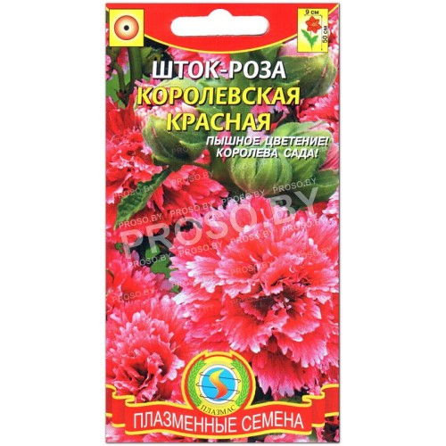 Шток-роза Королевская красная