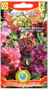 Шток-роза Королевская смесь