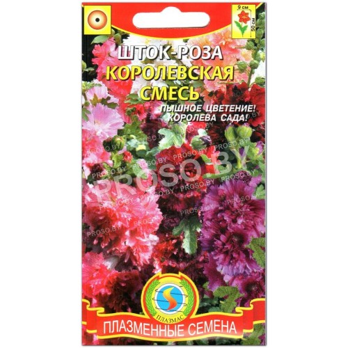 Шток-роза Королевская смесь