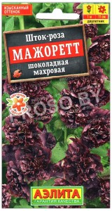 Шток-роза махровая Мажорет шоколадная