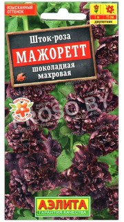 Шток-роза махровая Мажорет шоколадная