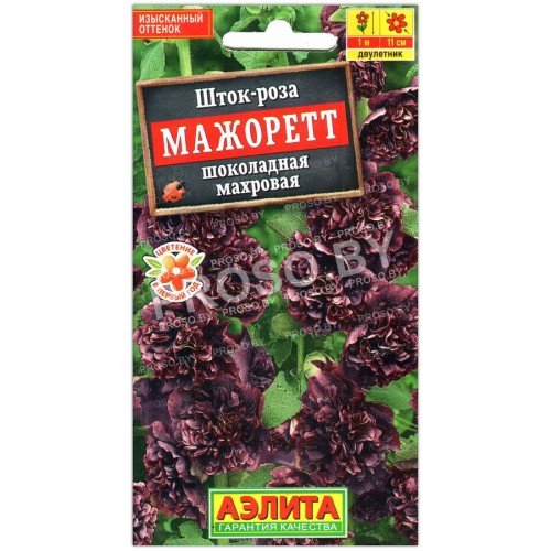 Шток-роза махровая Мажорет шоколадная