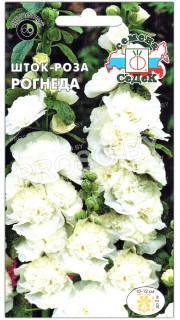 Шток-роза Рогнеда