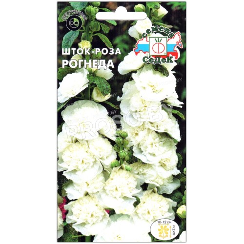 Шток-роза Рогнеда