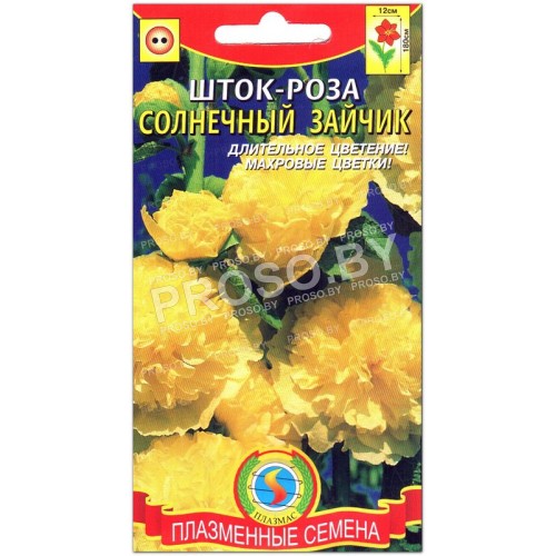 Шток-роза Солнечный зайчик