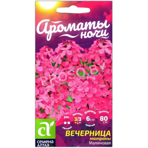 Вечерница Матроны малиновая