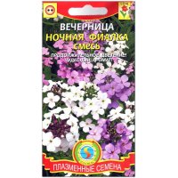 Вечерница Ночная фиалка, смесь