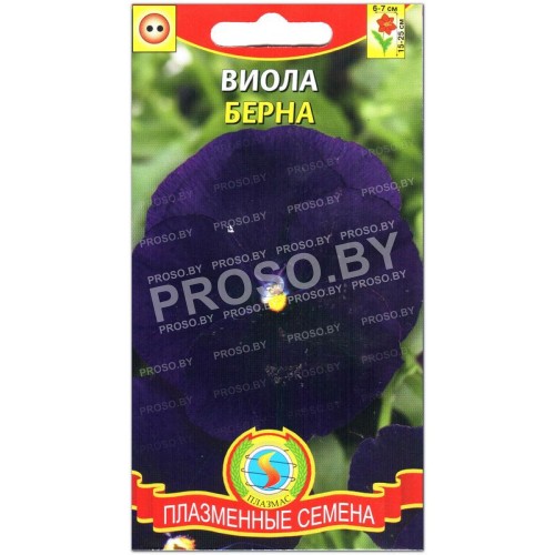 Виола Берна
