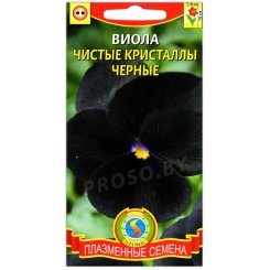 Виола Чистые кристаллы черные