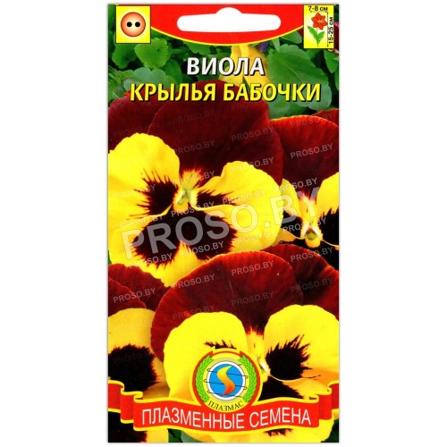 Виола Крылья бабочки