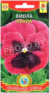 Виола Лаура