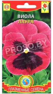 Виола Лаура