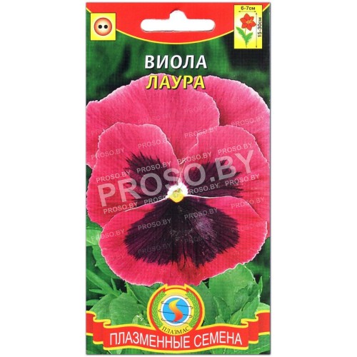 Виола Лаура