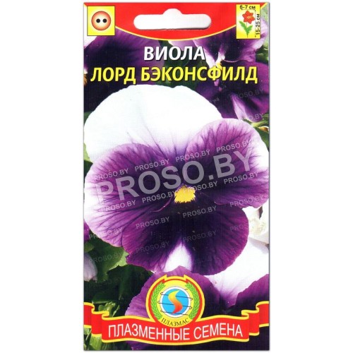 Виола Лорд бэконсфилд