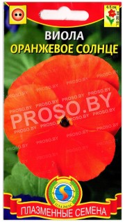 Виола Оранжевое солнце