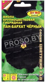 Виола Пан-бархат Черный F1