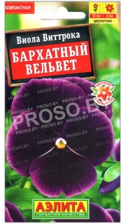 Виола виттрока Бархатный вельвет