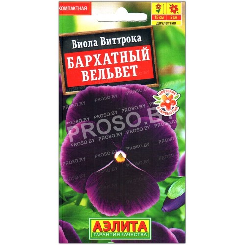 Виола виттрока Бархатный вельвет