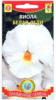 Виола виттрока Белая леди